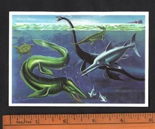 Dinosaurs prehistoric marine for sale  BRIDPORT