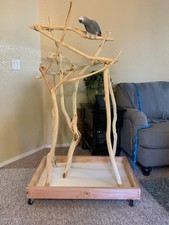 Parrot stand kingzotic for sale  Jacksonville