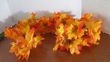 Autumn fall foot for sale  Olympia