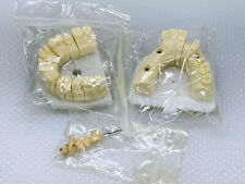 Dental prosthetic sample for sale  Milpitas