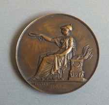 Medaille bronze societe d'occasion  France