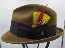Vintage champ fedora for sale  Goodyear