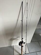 Set daiwa multirolle gebraucht kaufen  Kemberg