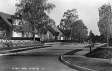 Friery dene prinsted for sale  DORCHESTER