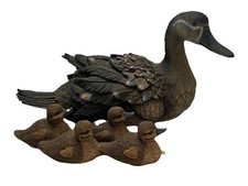 Mama duck baby for sale  Safford
