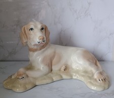 Jargo spain pointer for sale  STOKE-ON-TRENT