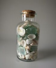 large jar shells sea for sale  Somerset