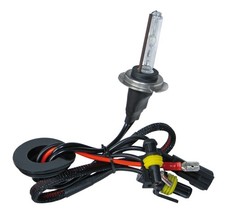 24v lampadina hid usato  Venaria Reale