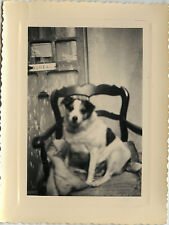 Antique photo vintage d'occasion  Expédié en Belgium