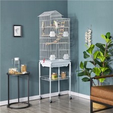 Parrot cage bird for sale  IPSWICH