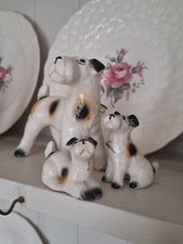 Fox terrier family for sale  ABERTILLERY