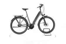 Raleigh bristol xxl gebraucht kaufen  Kempten (Allgäu)
