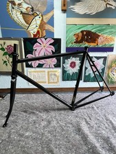 Surly custom painted for sale  Chesapeake