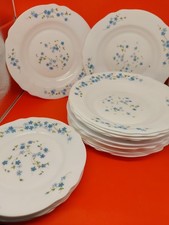 Arcopal france myosotis usato  Pieve di Cento