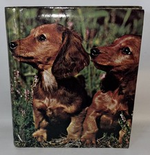 Vintage kitsch photo for sale  BELPER