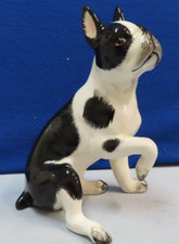 Great looking boston for sale  Shreveport