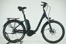 Raleigh kingston 2023 gebraucht kaufen  Dresden