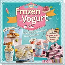 Frozen yogurt co gebraucht kaufen  Berlin