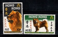 Hong kong 1970 usato  Bitonto