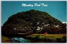 Postcard hawaiian monkey for sale  Kansas City