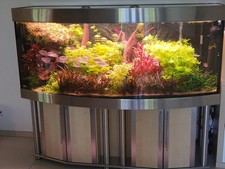 Komplettaquarium edelstahl 800 gebraucht kaufen  Herrieden