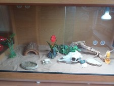 4ftx 2ft reptile for sale  SALFORD