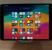 Apple ipad pro usato  Samarate