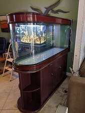 Minjiang peninsula aquarium for sale  Needles