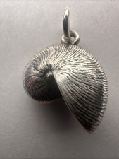 nautilus shell for sale nautilus shell for sale San Antonio