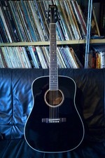 Washburn d10sb acoustic for sale  WASHINGTON