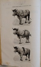 1927 ancien catalogue d'occasion  Corbigny