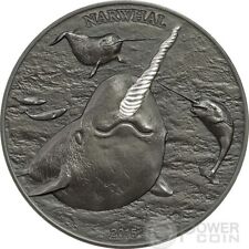 Narwhal northen fish usato  Ciampino