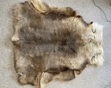 Reindeer hide premium for sale  UCKFIELD