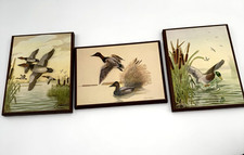 Duck wall art for sale  Puyallup