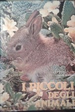 Piccoli degli animali usato  Domodossola
