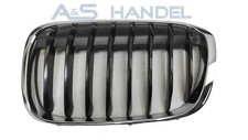 Riginal bmw niere gebraucht kaufen  Emsbüren