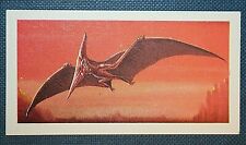 Cartão vintage PTERANODON Extinct Pterossaur DE27M comprar usado  Enviando para Brazil