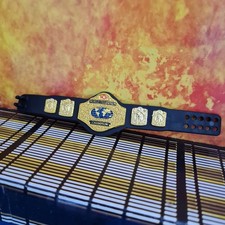 Wcw television championship for sale  PETERLEE