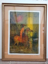 Horse wilderness hoi for sale  NORWICH