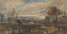 Landscape sheep wall for sale  USA