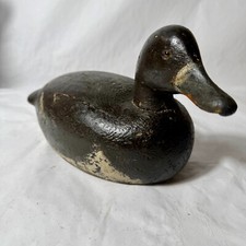 Antique vintage duck for sale  Mesa