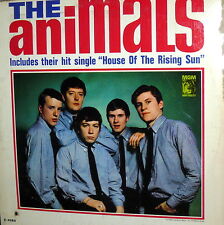 The animals same usato  Roma