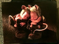 Anne geddes field for sale  Lynchburg