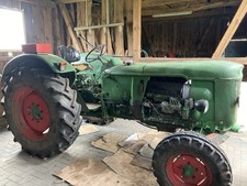 Traktor deutz d50 gebraucht kaufen  Burg