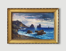 Paesaggio costiero capri usato  Napoli