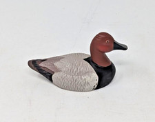 Male canvasback duck for sale  Bakersville