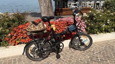 Bike klapprad stadtfalter gebraucht kaufen  München