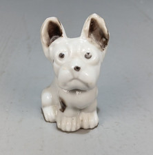 Bulldog puppy dog for sale  Naples