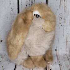 Applause holland lop for sale  Fayetteville