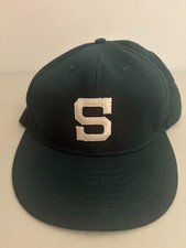 Vintage michigan state for sale  Novi